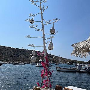 Mimosa Büfe, Muğla fotoğrafı