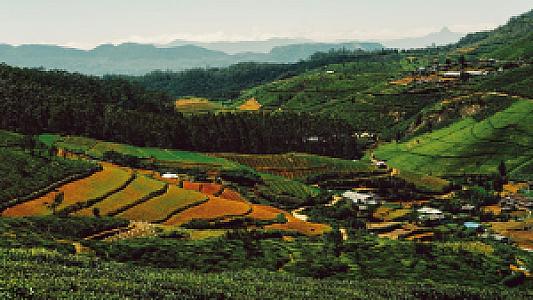 Sri Lanka – ülke fotoğrafı