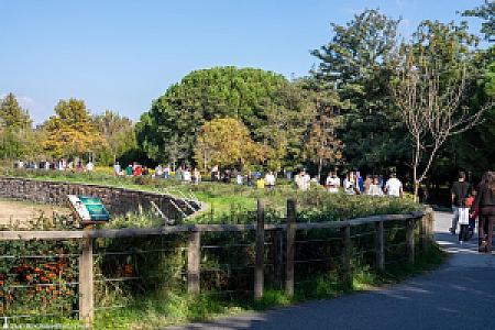 Ahi Sinan Parkı, İzmir fotoğrafı