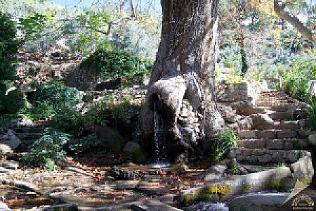 Yekap Parkı, Muğla fotoğrafı