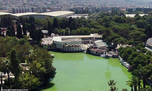 Gazi Yaşar Gücenmez Parkı, İzmir fotoğrafı