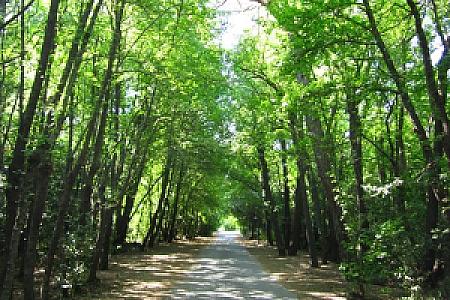 Marmaris Millî Parkı, Muğla fotoğrafı