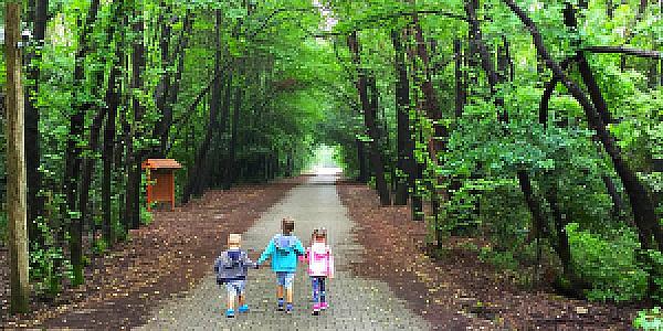 Marmaris Millî Parkı, Muğla fotoğrafı