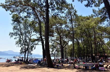 Çubucak Tabiat Parkı, İzmir fotoğrafı