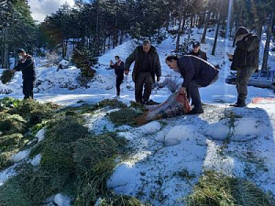 Muğla Yılanlı Çakmak Yaban Hayatı Geliştirme Sahası