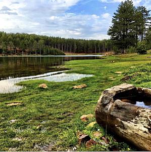 Kartal Gölü Doğa Koruma Alanı