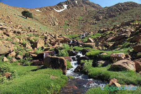 Kartal Gölü Doğa Koruma Alanı, Manisa fotoğrafı