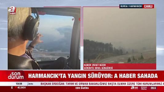 Harmancık Girişi, Yalova fotoğrafı