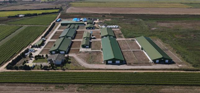 Yüksek Platoda Çiftlik Alanları, Bursa fotoğrafı