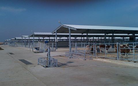 Yüksek Platoda Çiftlik Alanları, Bursa fotoğrafı