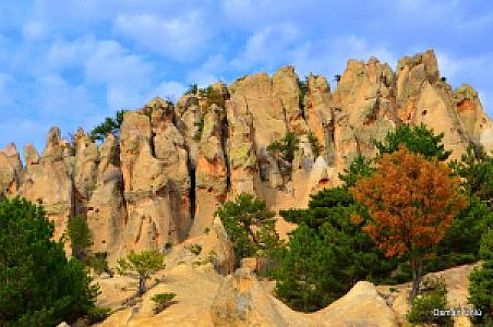 Orman Açıklığı, Afyonkarahisar fotoğrafı