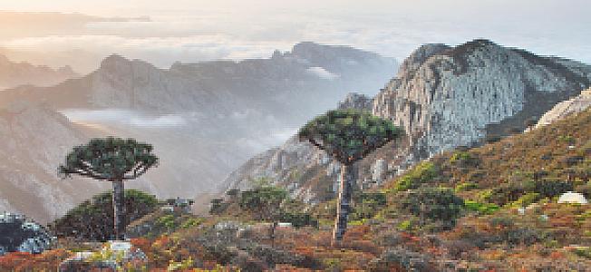 Yemen – ülke fotoğrafı