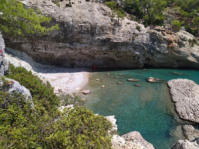 Doğal Flora Alanı (9.5 km), Şehir bilgisi mevcut değil fotoğrafı