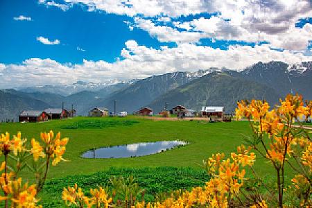 Yüksek Yayla Kesimi, Rize fotoğrafı