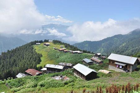 Yüksek Yayla Kesimi, Rize fotoğrafı