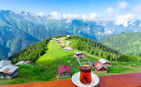 Rize Yayla Patikası, Rize fotoğrafı