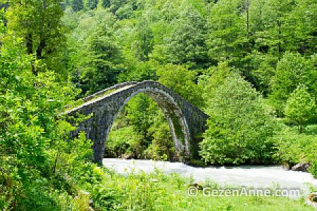 Fırtına Deresi Mini Şelalesi, Rize fotoğrafı