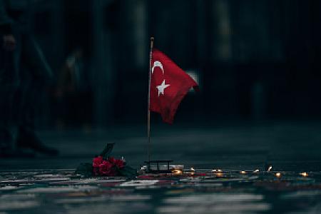 Çınar Meşesi Gölgesi (su kaynağı), Aydın fotoğrafı