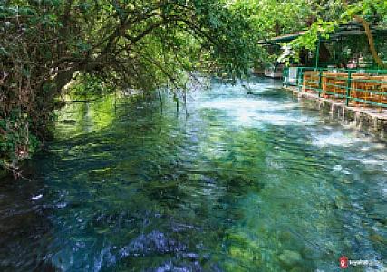 Orman Su Kaynağı, Muğla fotoğrafı