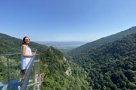 Orman Girişi ve Manzara Terası, İzmir fotoğrafı