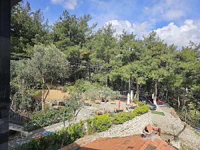 Orman Girişi ve Manzara Terası, İzmir fotoğrafı