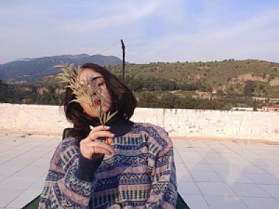 Kaya Oyuğu Dinlenme, Aydın fotoğrafı