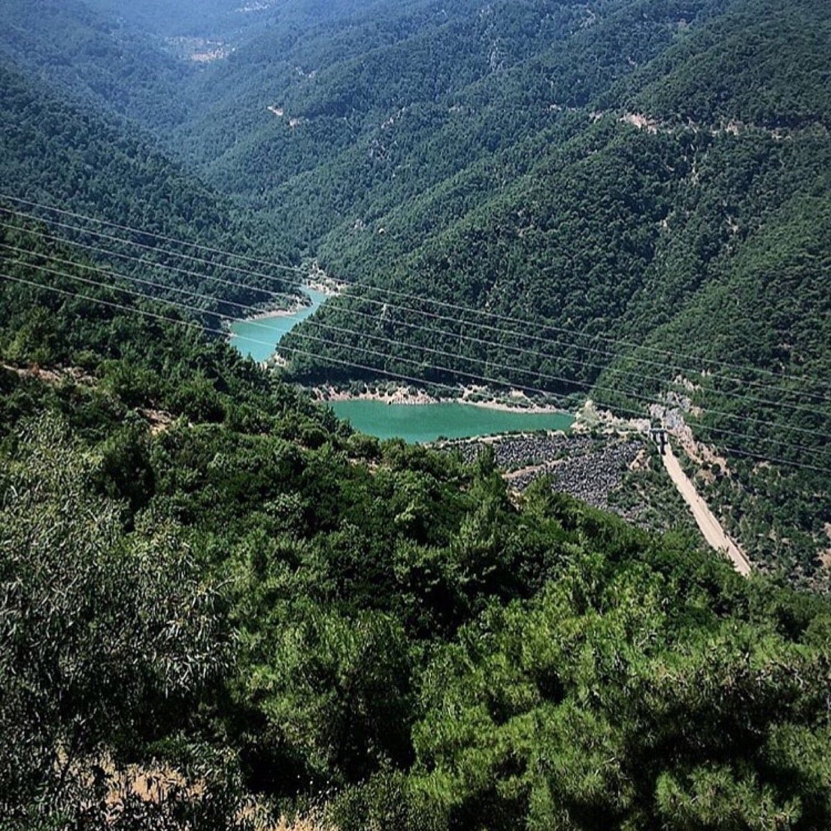 Kıyı Ormanı Kaynağı