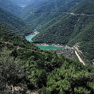 Kıyı Ormanı Kaynağı