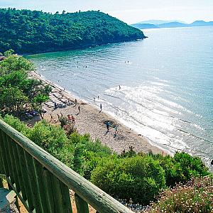 Kıyı Ormanı Kaynağı, İzmir fotoğrafı