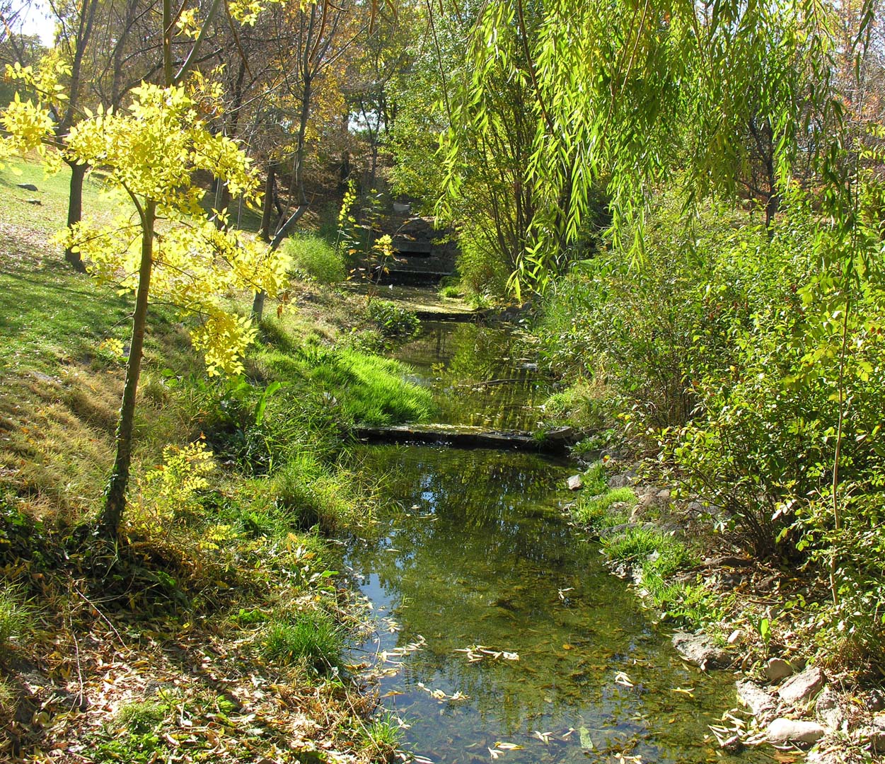 Dere Ağaçlık Bölgesi