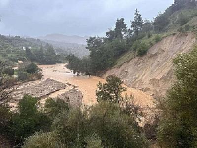 Dere Ağaçlık Bölgesi, Aydın fotoğrafı