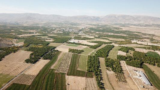Ova Tarım Arazileri, İzmir fotoğrafı