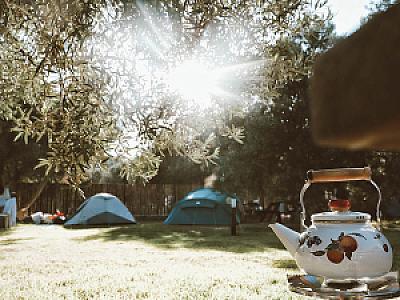 Ovada Ağaç Gölgesi, İzmir fotoğrafı