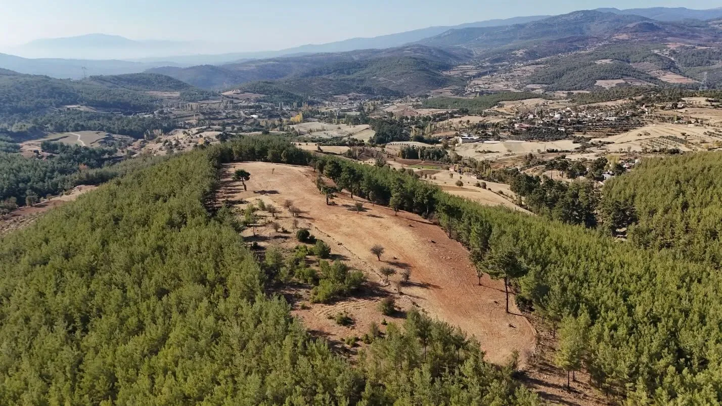 Köy Çıkışı Tarım Alanları