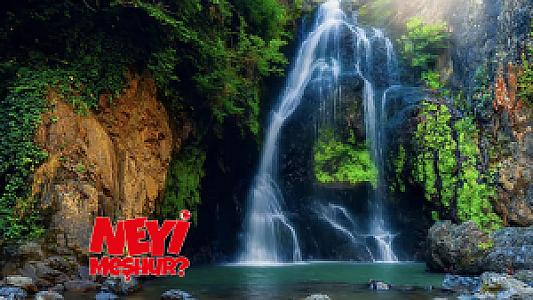 Orman Su Kaynağı Dinlemesi, Aydın fotoğrafı