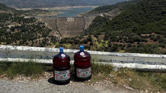 Orman Su Kaynağı Dinlemesi, Aydın fotoğrafı