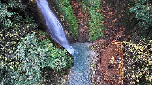 Orman Su Kaynağı Dinlemesi, Aydın fotoğrafı