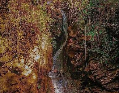 Orman Su Kaynağı Dinlemesi, Aydın fotoğrafı