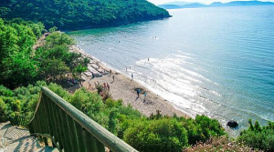 Orman Su Kaynağı Dinlemesi, Aydın fotoğrafı