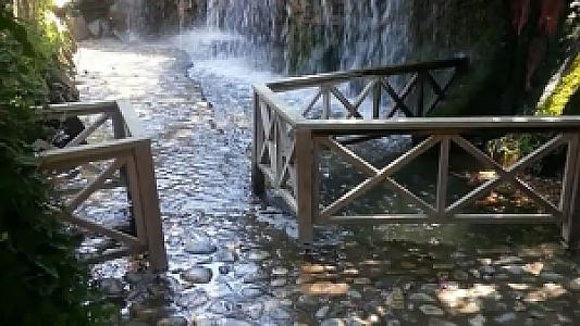 Dere Vadisi Ormanı, Muğla fotoğrafı