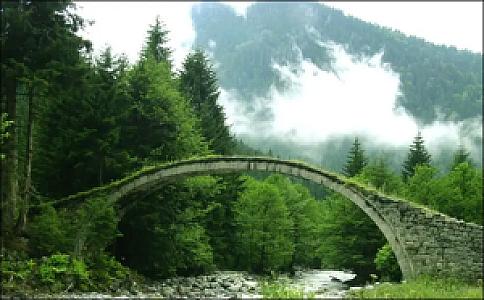 Dere Vadisi Ormanı, Muğla fotoğrafı