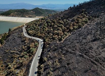 Orman İçinde Su Kaynağı, Ödemiş fotoğrafı
