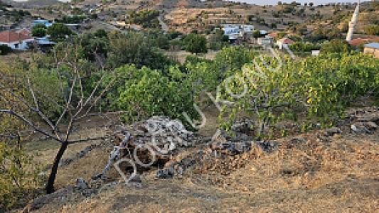Köy Çıkışı Tarım Alanları, Aydın fotoğrafı