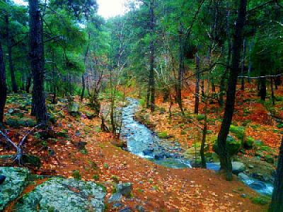 Yayla Açık Alanında Yürüyüş