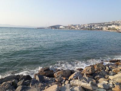 Yayla Su Kaynağı, Aydın fotoğrafı