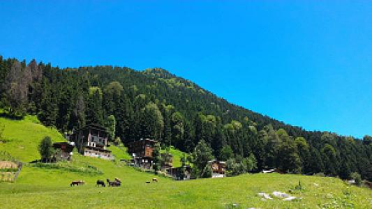 En Yüksek Noktaya Yakın Yayla, Rize fotoğrafı