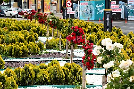 Aksaray Çevresi Dinlenme Alanı, Aksaray fotoğrafı