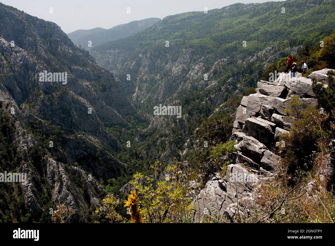 Kazdağları: Mitolojik Hikayeler, Doğal İhtişam ve Lezzetli Zeytinyağı