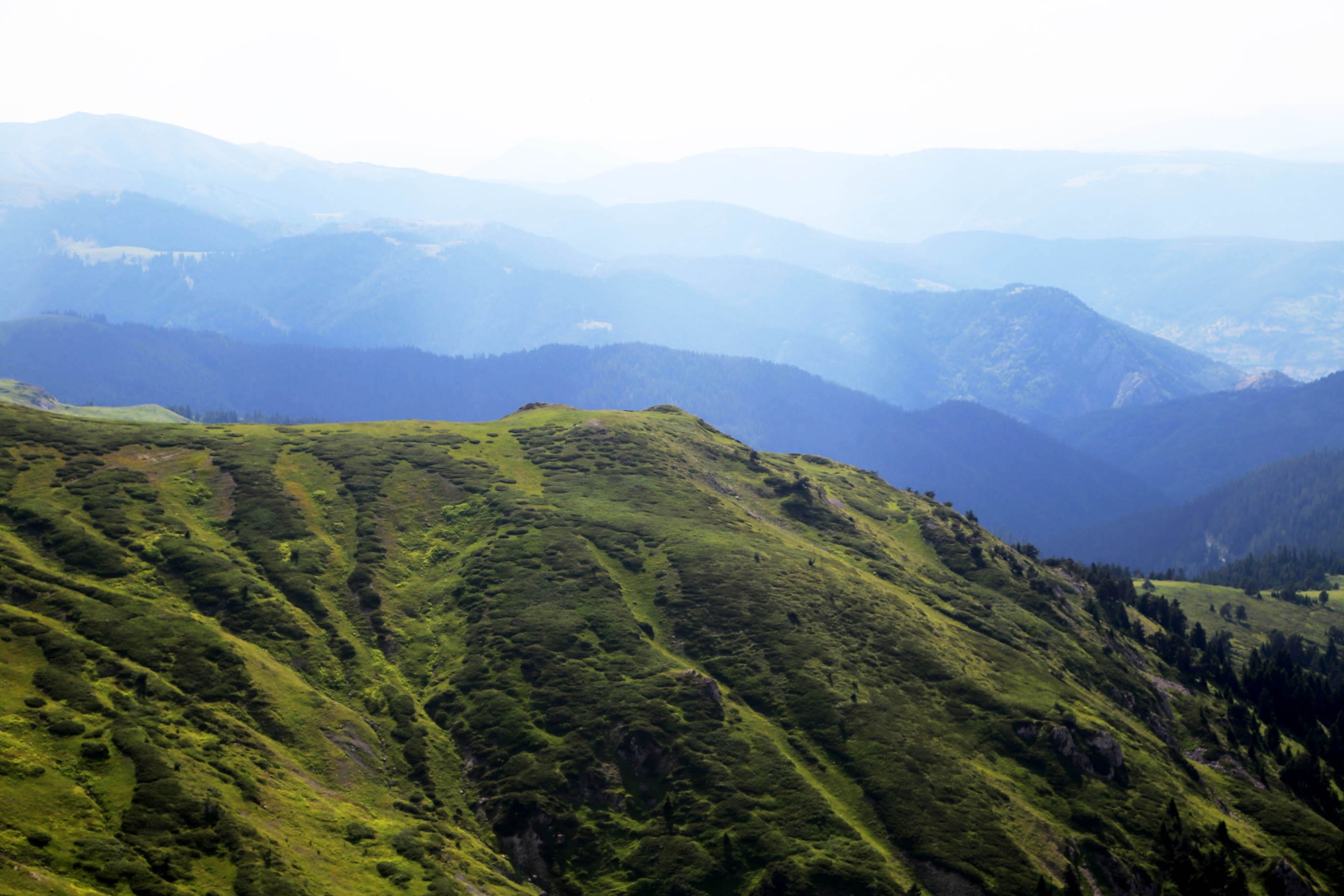 Ilgaz Dağları: Dört Mevsimde Doğanın İhtişamı ve Kış Turizmi Potansiyeli