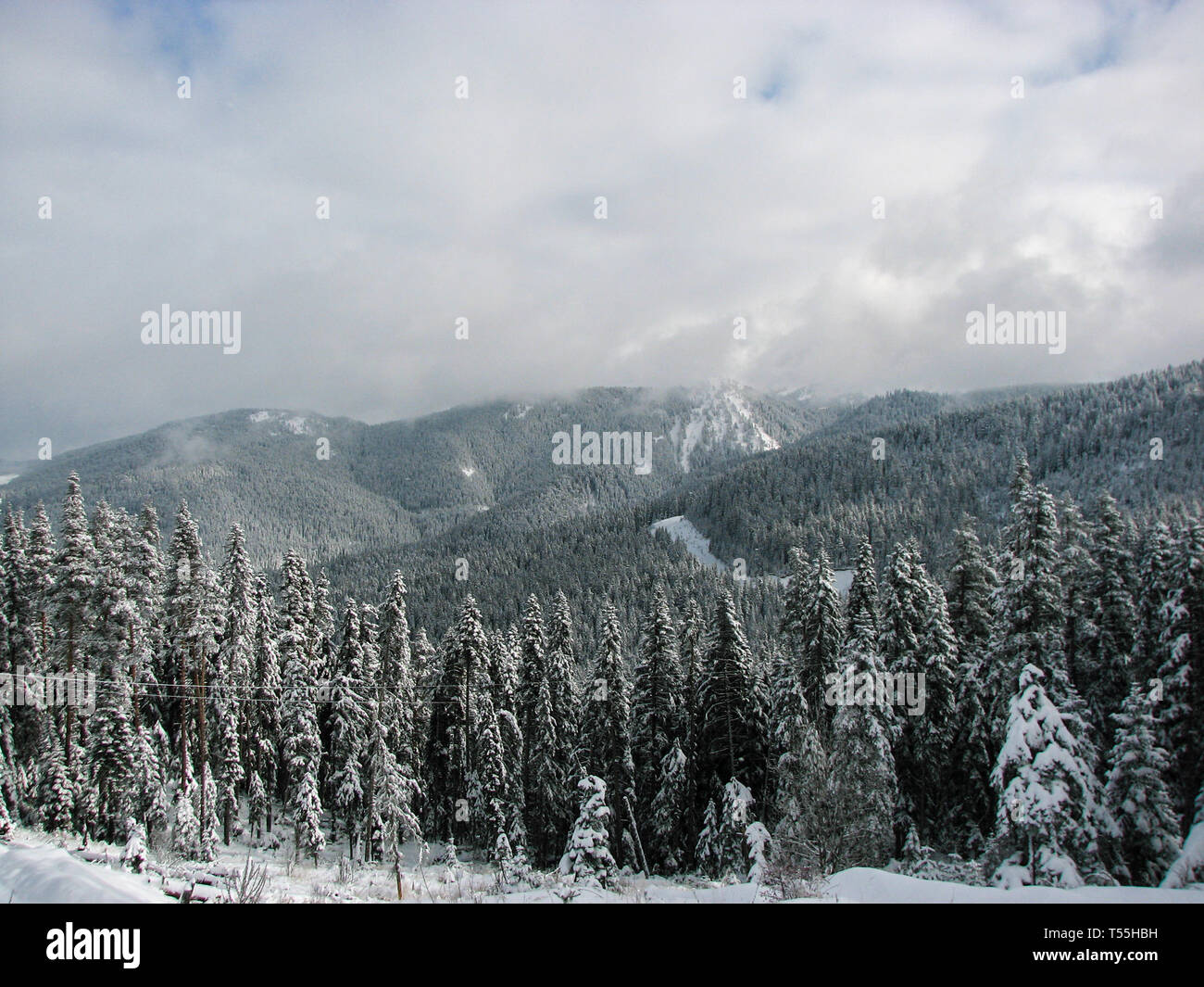 Ilgaz Dağları: Dört Mevsimde Doğanın İhtişamı ve Kış Turizmi Potansiyeli